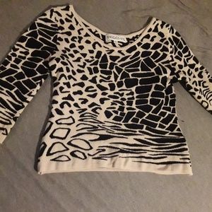 Angelica Val Cheetah Print Sweater